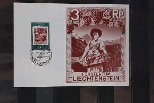 Liechtenstein 1980, 50 Jahre Postmuseum, MK