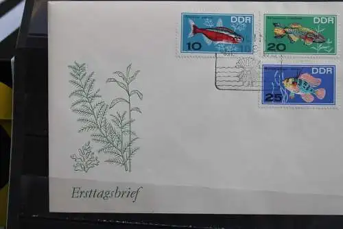 DDR; 1966, Zierfische, MiNr. 1221-26, FDC