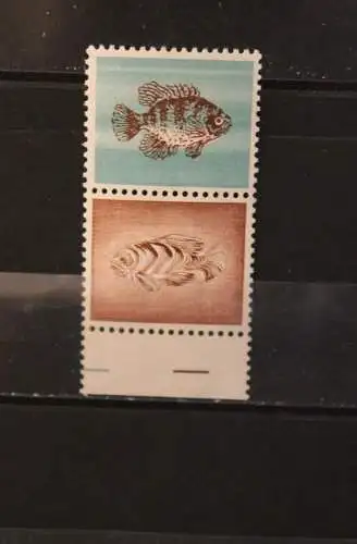 Schweiz; Specimen, Probedruck, Muster, Essay, Versuchsdruck, Druckprobe, 1964, MNH, bitte lesen