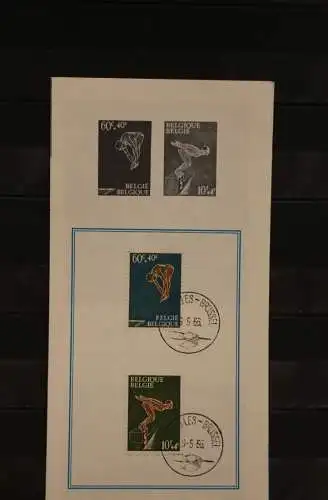 Belgien, Ersttagsblatt, Schwarzdruck: Schwimmen, Sport, 1966, fläm. Edition