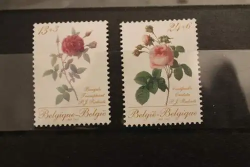 Belgien, Rosen, 1988, MNH