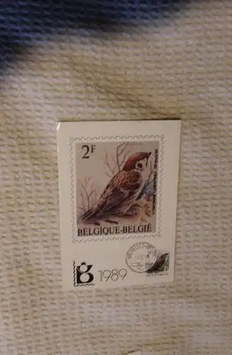 Belgien, Maximumkarte 1989; Vögel
