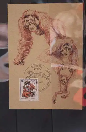 DDR 1986; Maximumkarten: 125 Jahre Dresdner Zoo; MiNr. 3019-22; amtl. MK 5-8/1986