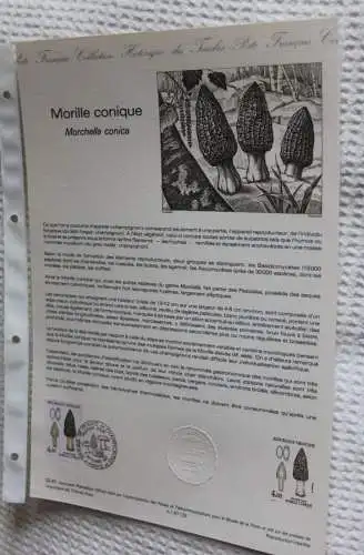 Frankreich; ETB, 1987; Ersttagsblatt: Pilze: Morchella conica; ETB: 32-87