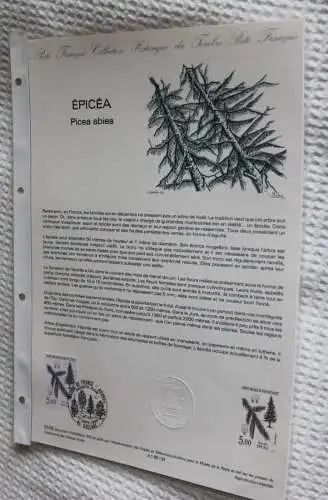 Frankreich; ETB, 1985; Ersttagsblatt: Die Rottanne; Fichte;  Picea abies; ETB: 33-85