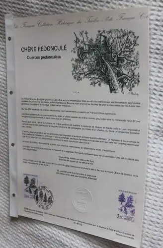 Frankreich; ETB, 1985; Ersttagsblatt: Die Eiche; Quercus pedunculata; ETB: 32-85