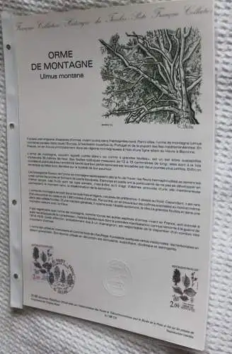 Frankreich; ETB, 1985; Ersttagsblatt: Die Bergulme; Ulmus montana; ETB: 31-85