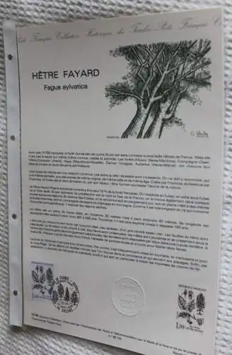 Frankreich; ETB, 1985; Ersttagsblatt: Die Rotbuche; Fagus sylvatica; ETB: 30-85