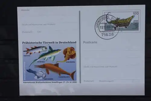 Sonderpostkarte: Int. Briefmarkenbörse Sindelfingen 2000; PSo73; Tagesstempel Ludwigsburg