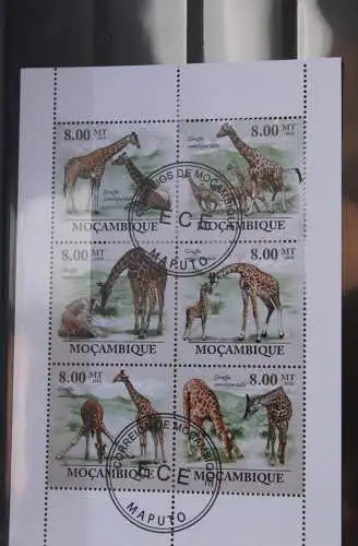 Giraffen; Mozambique, Blockausgabe, gebraucht