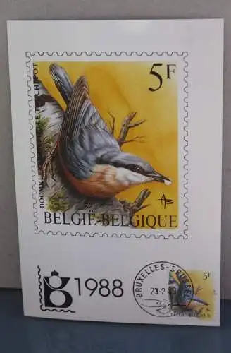 Singvogel, Belgien 1988, Amtl. Maximumkarte