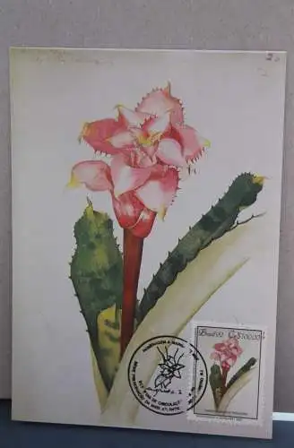 Brasilien, 2 Maximumkarten Blumen