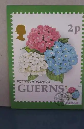 Guernsey; Set von 10 Blumen Maximumkarten; 15. März 1993