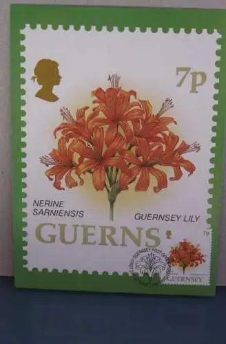 Guernsey; Set von 10 Blumen Maximumkarten; 15. März 1993