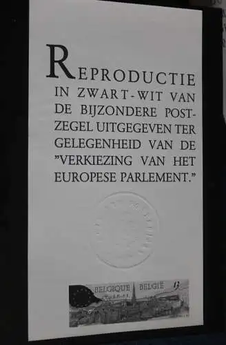 Belgien Direktwahl zum Europäischen Parlament 1989, Schwarzdruck, Flämische Ausgabe