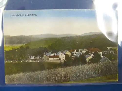 Hundsübel im Erzgebirge