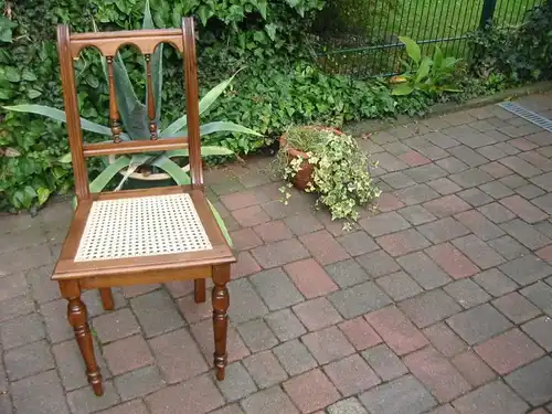 Stühle Gründerzeit Buche