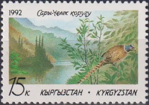 Sary-Chelek Nature Reserve