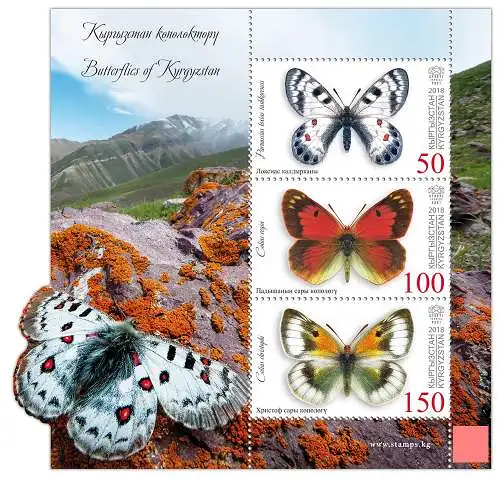 Butterflies of Kyrgyzstan