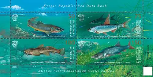 Kyrgyz Republic Red Data Book - Fishes