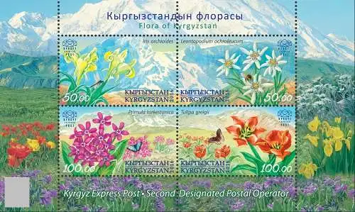 Flora of Kyrgyzstan