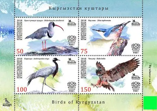 Birds of Kyrgyzstan