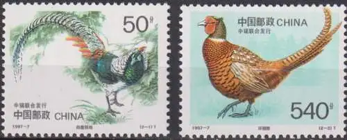 Birds - Rare Pheasants