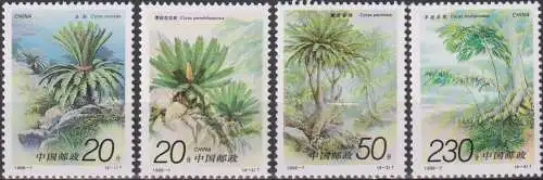 Cycads