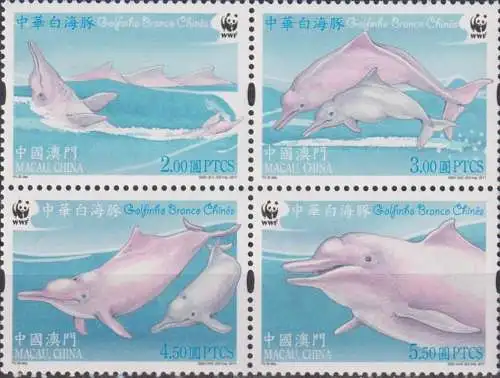 Marine Life - Chinese White Dolphin