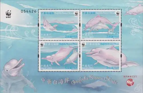 Marine Life - Chinese White Dolphin