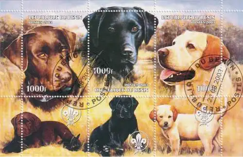 Hunting dogs - Labrador Retriever