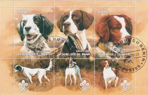 Hunting dogs - Pointer