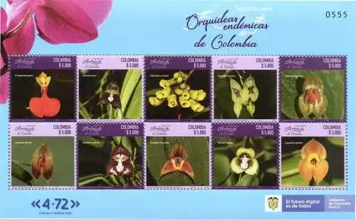 Flowers - Endemic Orchids of Colombia