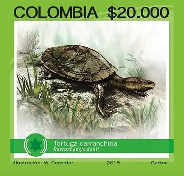 Tortuga carranchina