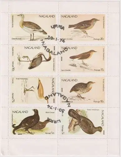 Birds - label