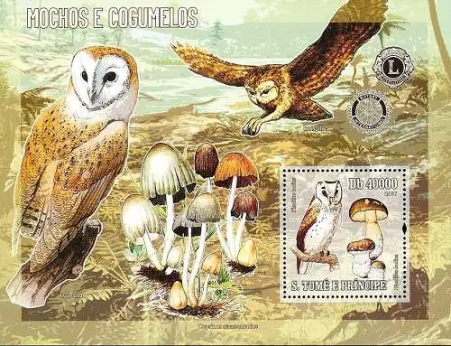 Owls and Fungi