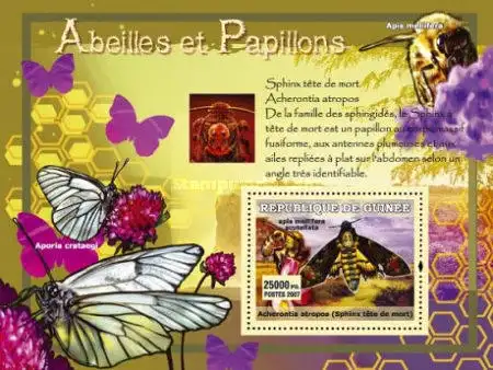 Insects & Butterflies, Flowers