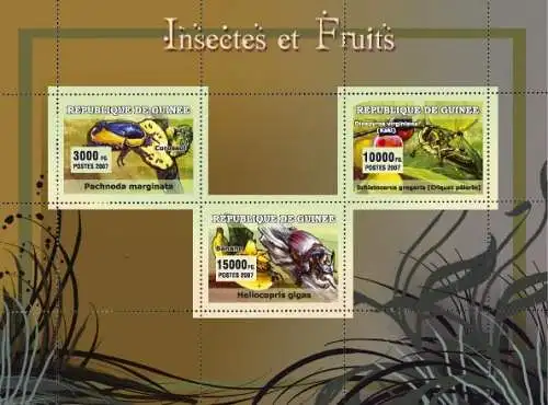 Fauna - Insects, Fruits