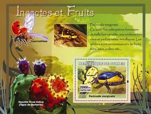 Fauna - Insects, Fruits