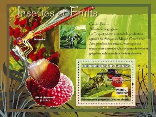 Fauna - Insects, Fruits