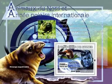 International Polar Year & Animals of the North