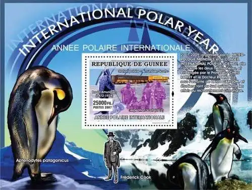 International Polar Year - Penguins