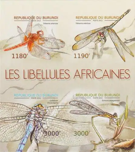 Fauna - Dragonflies of Africa