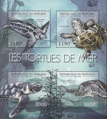 Marine Life - Turtles