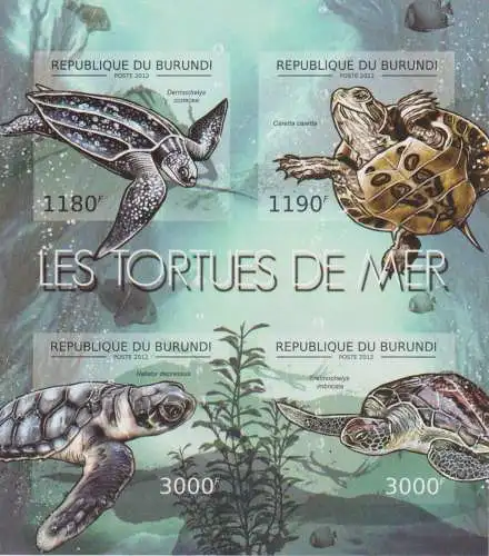 Marine Life - Turtles