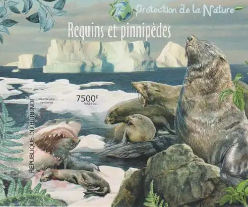 Protection of Nature - Sharks & Pinnipeds