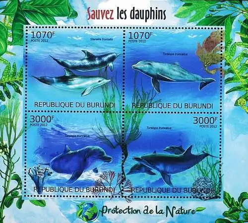 Protection of Nature - Save the Dolphins