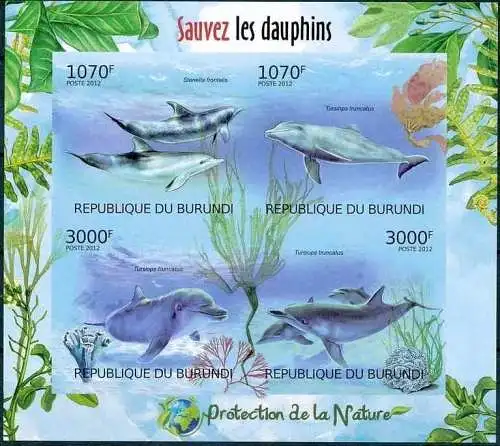 Protection of Nature - Save the Dolphins