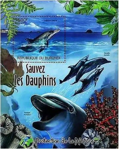 Protection of Nature - Save the Dolphins