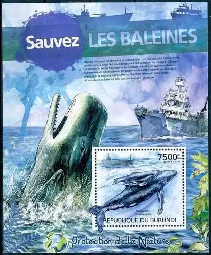 Protection of Nature - Save the Whales